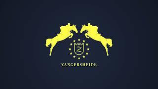 Ansingh de Lis Z - The Zangersheide International - Round 1