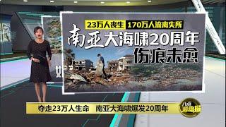 南亚大海啸夺走23万条人命   幸存者对大海感到深深恐惧 | 八点最热报 25/12/2024