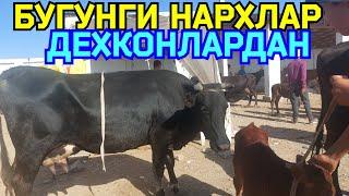 ОНА БОЛА СОГИМ СИГИР НАРХЛАРИ КАРШИ КАРВОН МОЛ БОЗОРИДА