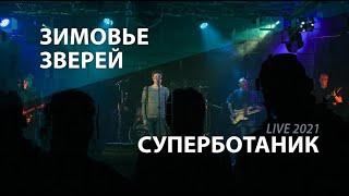 Зимовье Зверей | Суперботаник | Live 2021 | Константин Арбенин