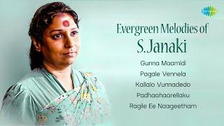 Evergreen Melodies of S. Janaki | Gunna Maamidi | Pagale Vennela | Kallalo Vunnadedo