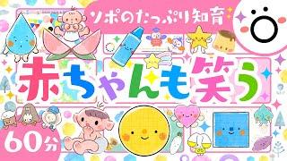 【赤ちゃんが喜ぶアニメ】赤ちゃんも笑う│ソポアートパーク公式│赤ちゃんが泣き止む 喜ぶ 笑う 楽しめる│0歳から3歳│あかちゃん動画│乳児・幼児向け知育動画│こどものうた 音楽 歌 ダンス