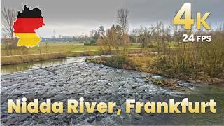 Morning Walk Along the Nidda River, Frankfurt | 4K 60fps | Countryside & Nature Views