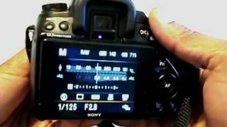 Digital SLR Camera Introduction: Digital photography lessons for beginners