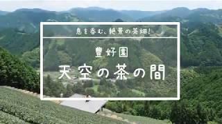 天空の茶園に茶の間が！静岡「豊好園」完全予約制の絶景ティータイム│トラベルjp