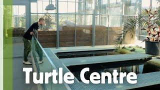 Thousands of turtles at Turtle rescue Centre Emys Swiss