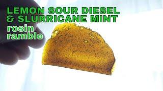 LEMON SOUR DIESEL & SLURRICANE MINT | ROSIN RAMBLE