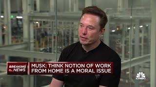 Tesla CEO Elon Musk: 'The laptop class is living in la-la land' over work-from-home