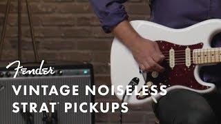 Vintage Noiseless Pickups | Fender