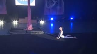 Кобрин Кароліна. Повітряні Полотна - Aerial Silks Children 6-9 years Professionals