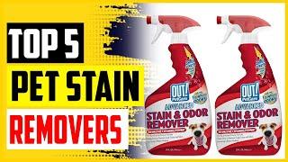 Top 5 Best Pet Stain Removers In 2022