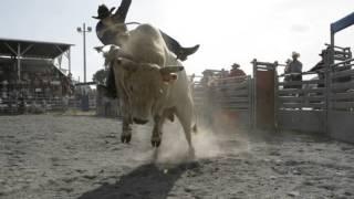 Rodeo and Bull Riding at the Missouri State Fairgrounds