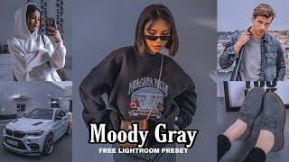 Moody Gray Preset - Lightroom Mobile | Lightroom DNG preset | Lightroom Tutorial