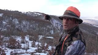 ZİLE  DOMUZ AVI  / WILD BOAR HUNTING ZİLE - TOKAT - TURKEY