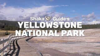 Tour Yellowstone National Park with Shaka Guide