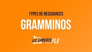 Types de ressources FLE : les Grammino