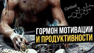 Кортизол - гормон Мотивации и Продуктивности (Развитие и успех в жизни)