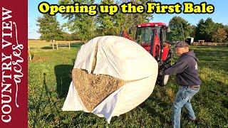 Introducing a New Ram to the Flock  Opening our First Wrapped Bale of Dry Hay