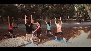 The Bench - Short film - A typical day of a park Bench in Clearwater, Florida, USA