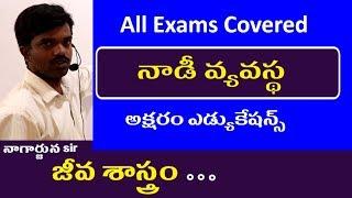 Nervous System in Human Body || Biology Classes in Telugu || RRB Appsc SSC Tspsc Police