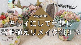 【Vlog706】【多肉植物】今年もありがとう！キレイにして年越し寄せ植えリメイク術３つ【みのりんさん干支鉢】