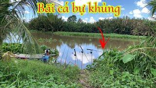 Câu Cá Tra Sông - Bãi Siêu Đẹp Cá Bự Siêu Ục Pen Cái Hú Hồn | Fishing Miền Tây