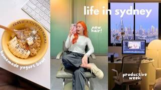 vlog  orange hair, busy week, getting ready for korea  last day of class, electric circus 