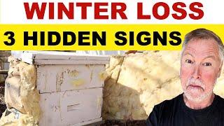 Beekeeping Signs That Your Bees May Die This Winter! LOOK 