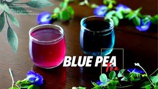 Butterfly Pea Flower Tea Benefits | Healthy Blue Pea Tea | Health Benefits of Blue Pea Flowers