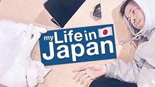 Living in Japan as a Foreigner - Going on 20 Years 