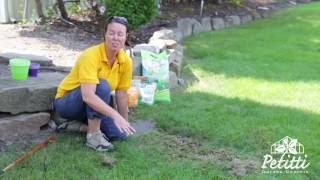 PETITTI Lawn Care Tips