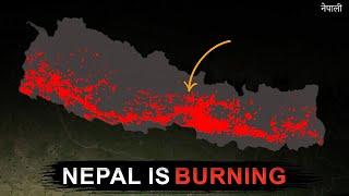 Forest Fire is destroying Nepal ( and why no one Cares)