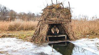 Строю шалаш на болоте, расчищаю пруд. Поставил фотоловушку