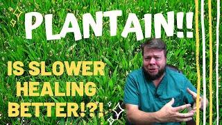 Medicinal Plantain Power! Slower is BETTER? - The HomeGrown Herbalist