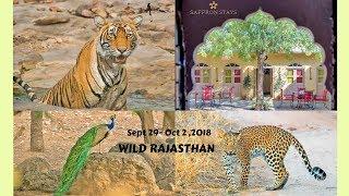 Wild Rajasthan Tour: September 29-October 2, 2018