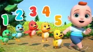 Cinco Patitos | Aprender Números del 1 al 5 | Bebé Leo Canciones Infantiles & Videos para Niños