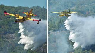 Bombardier CL-415 Water Bomber & Air Tractor Fire Boss - FIREFIGHTING ACTION!