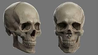 || SKULL RESTORATION || THE PERFECT SKULL! MORPHIC FIELD