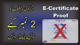 Verify Digiskills batch 11 E Certificate | Freelancing Digital Marketing Course Tech itv pk