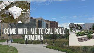 Come with me to Cal Poly Pomona!