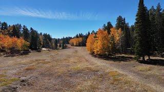 Fall colors on Casper Mountain