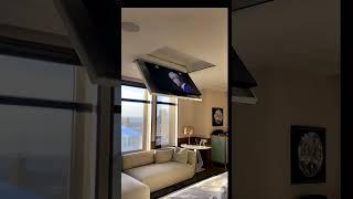 When the kids or pets have already broken three TVs #shorts #tech #Trend #HiTechUS #Vira #hd