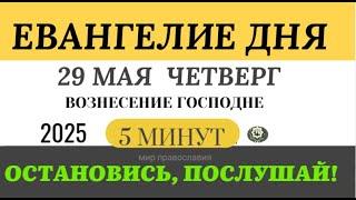 29 мая четверг Евангелие дня 2025 с толкованием Вознесение Господне