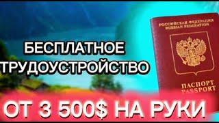 ️РАБОТА ЗА ГРАНИЦЕЙ ДЛЯ РУССКИХ 2023 | Бесплатные Вакансии! РАБОТА В НОРВЕГИИ ДЛЯ РУССКИХ