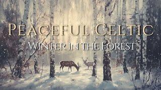 Tranquil Winter in the Celtic Forest – Peaceful Music for Calm and Reflection ️