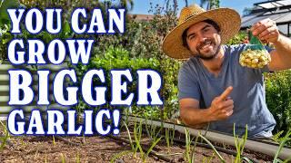 What You Need To Know About Growing Garlic | Part 2: Planting