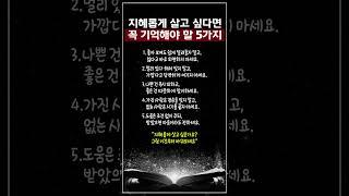 지혜롭게 살고 싶다면 꼭 기억해야 할 5가지 #삶의지혜 #처세술 #인생명언