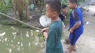 STRIKE mancing ikan di kolam belakang