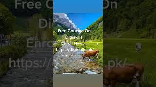 Free Courses On Digiskillsnroll Now....https://digiskills.pk/