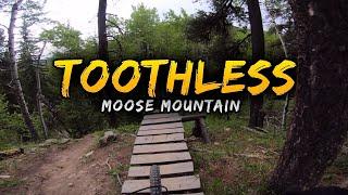 Toothless - Moose Mountain, Alberta